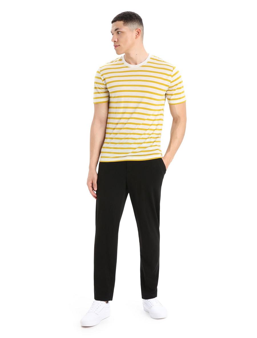 Koszulki Icebreaker Merino Drayden Krótkie Sleeve Stripe Męskie Złote | PL 1762CTVE